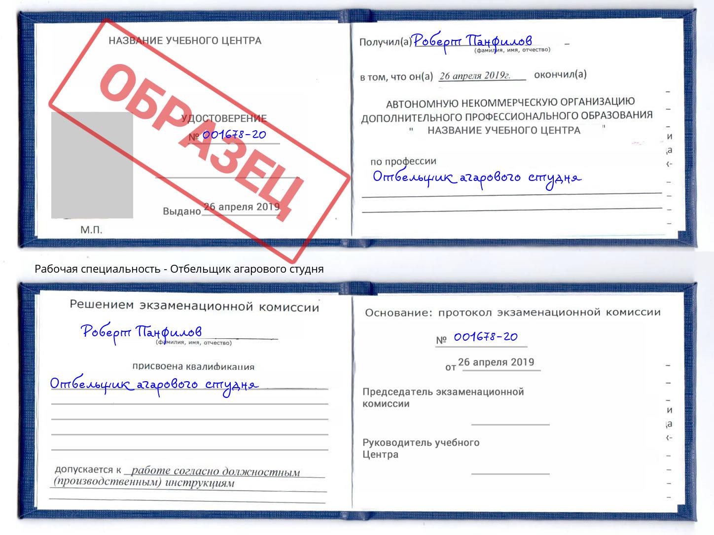 Отбельщик агарового студня Сатка
