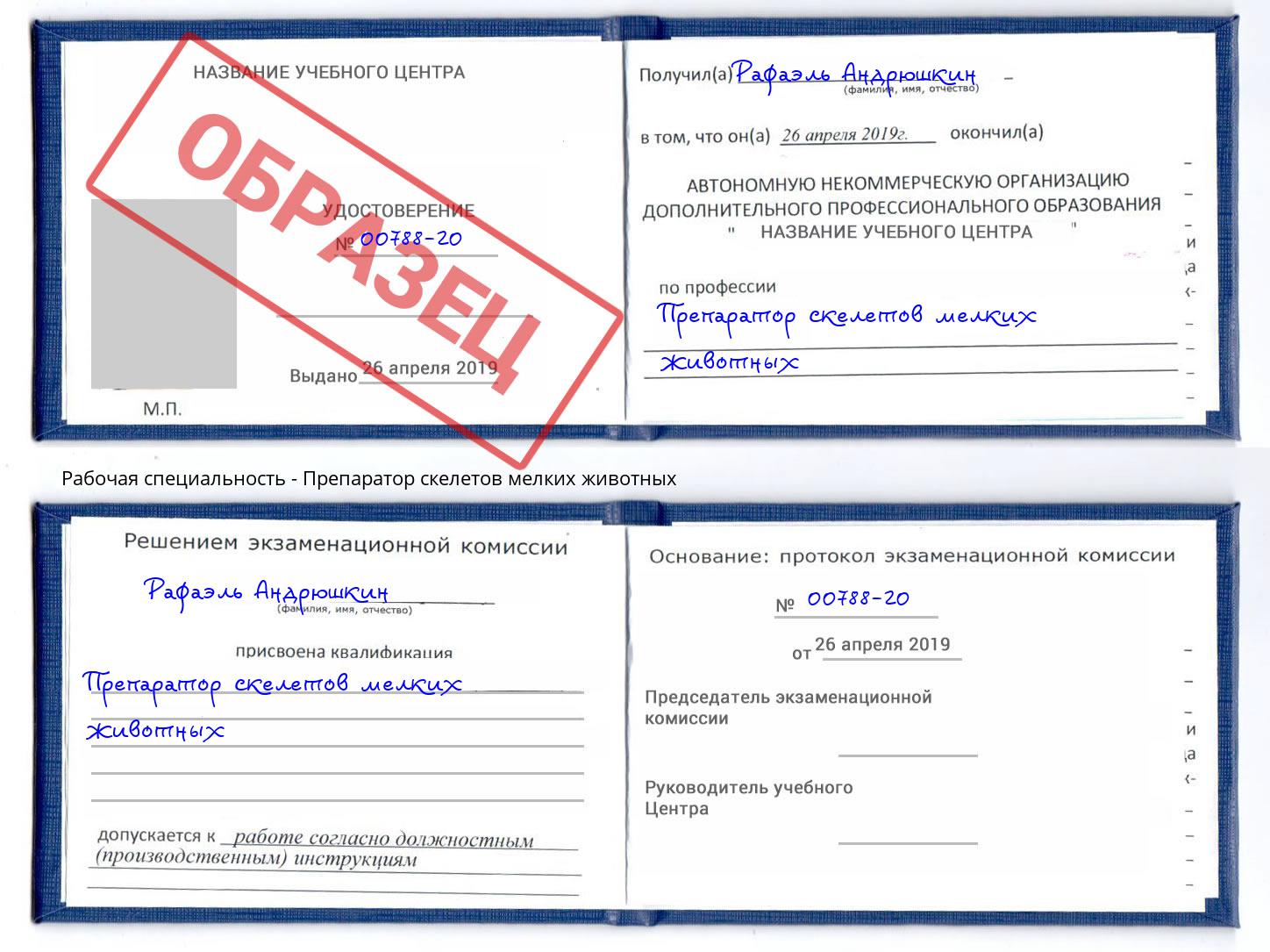 Препаратор скелетов мелких животных Сатка