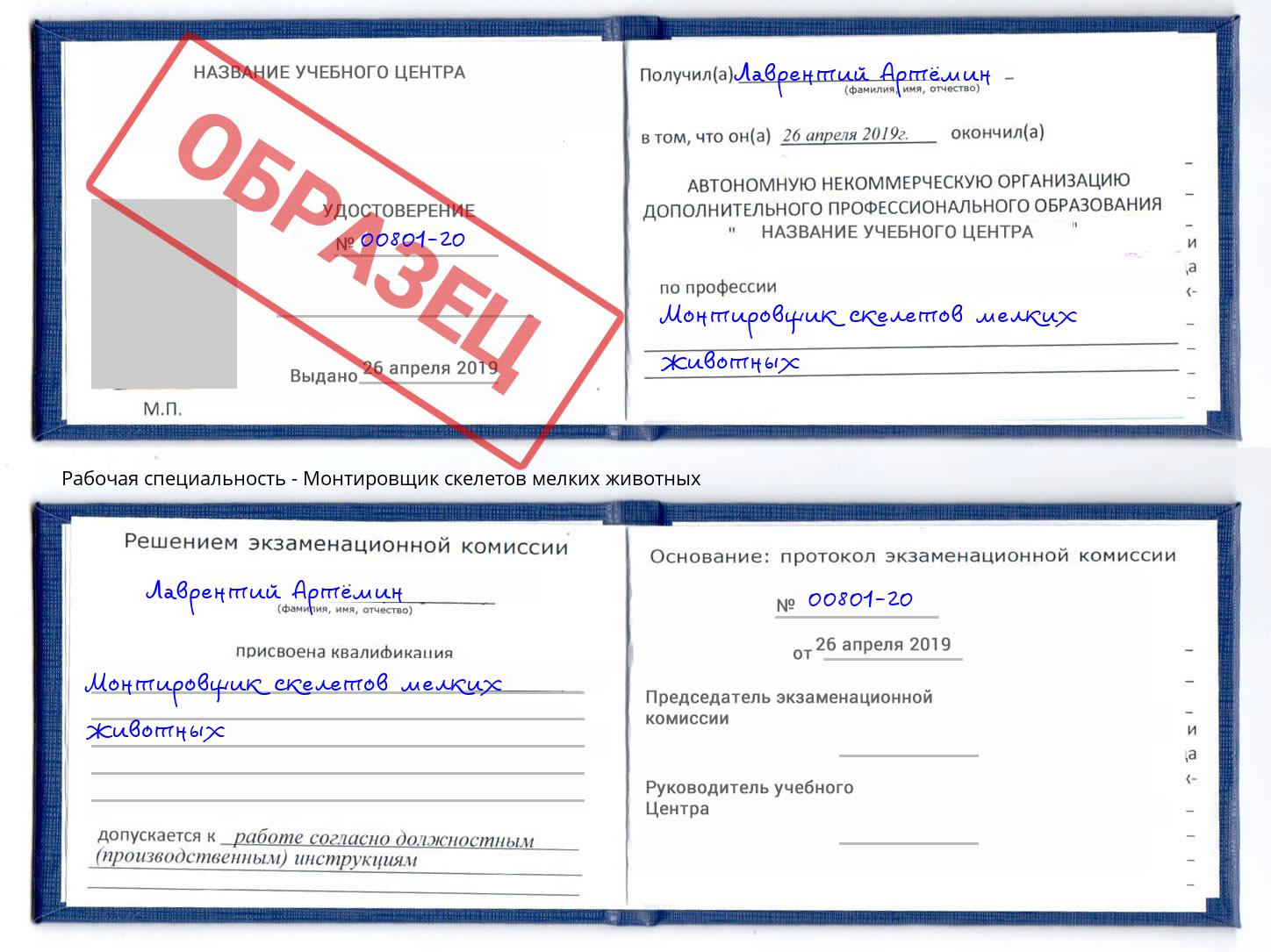 Монтировщик скелетов мелких животных Сатка