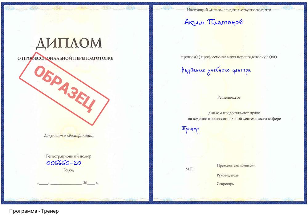Тренер Сатка