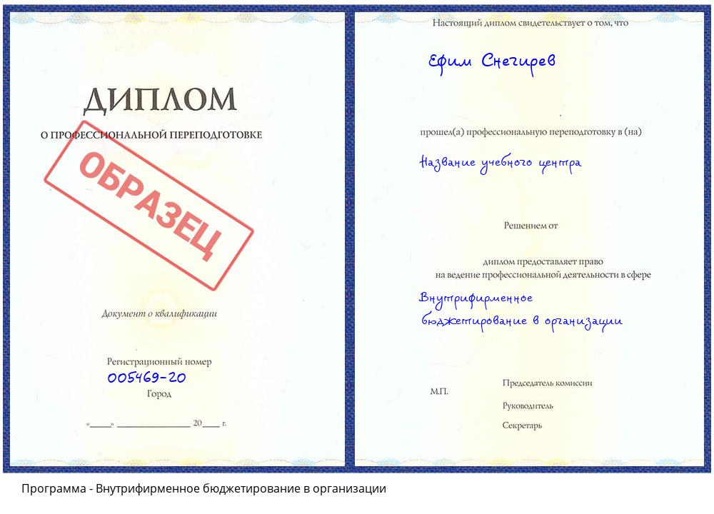 Внутрифирменное бюджетирование в организации Сатка