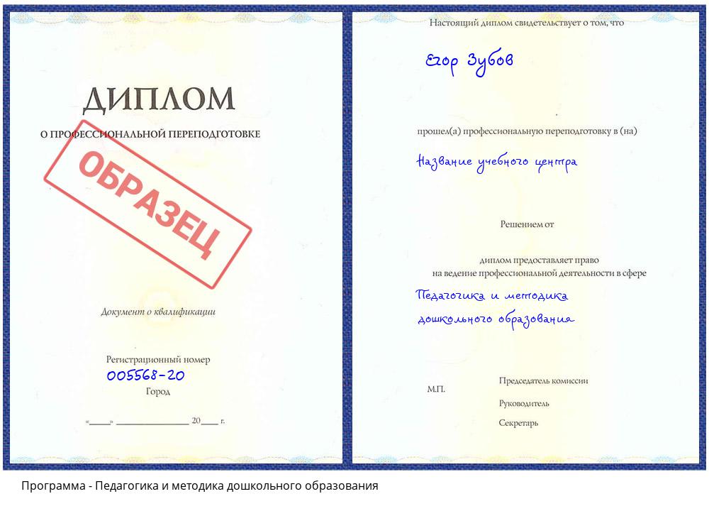 Педагогика и методика дошкольного образования Сатка