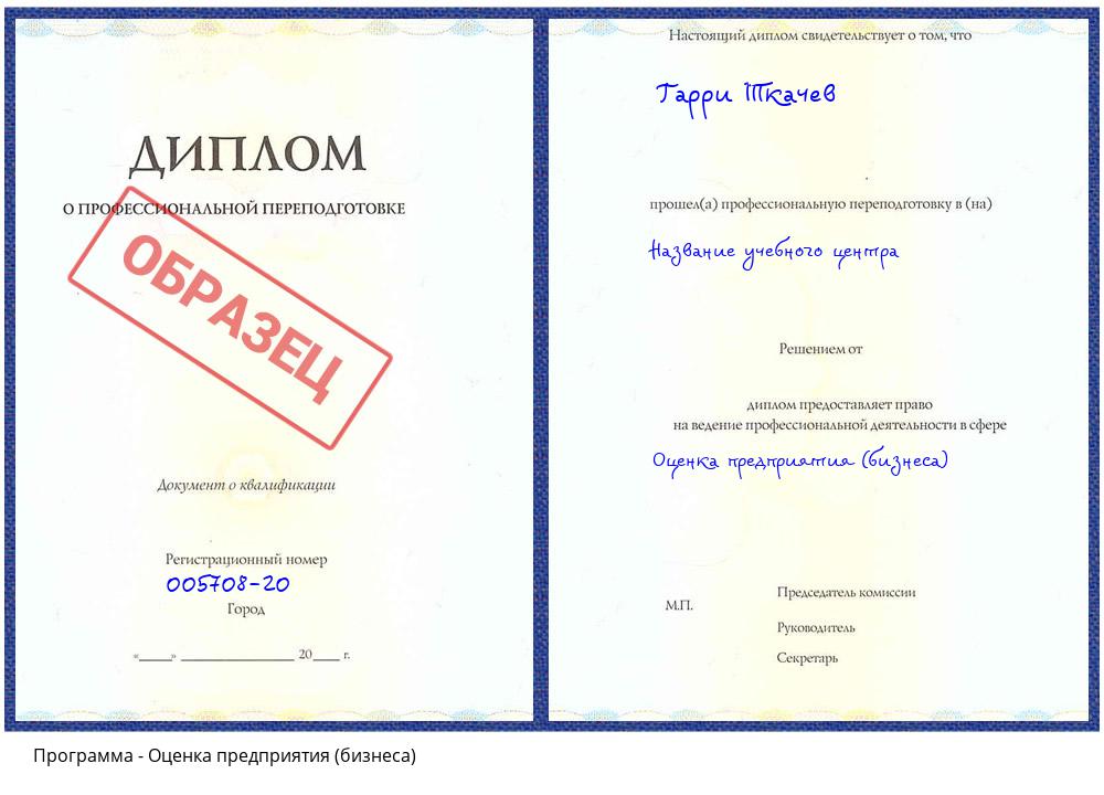Оценка предприятия (бизнеса) Сатка
