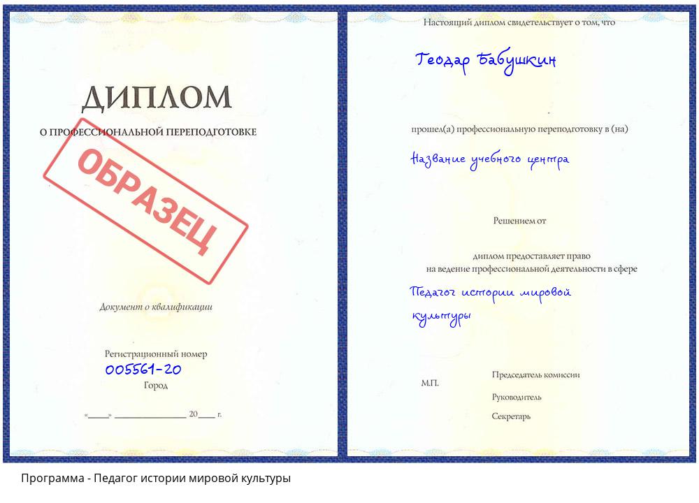 Педагог истории мировой культуры Сатка