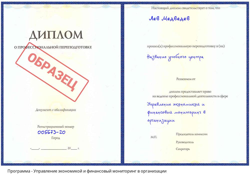 Управление экономикой и финансовый мониторинг в организации Сатка