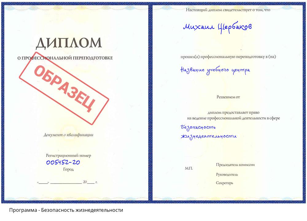 Безопасность жизнедеятельности Сатка