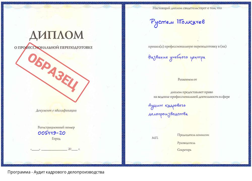 Аудит кадрового делопроизводства Сатка