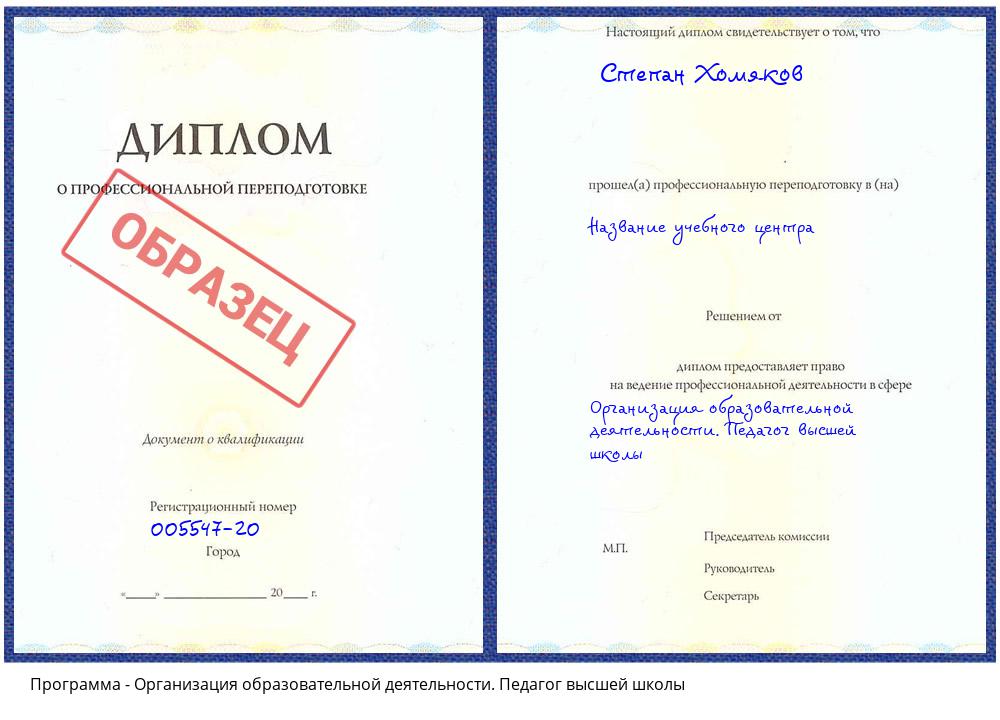 Организация образовательной деятельности. Педагог высшей школы Сатка