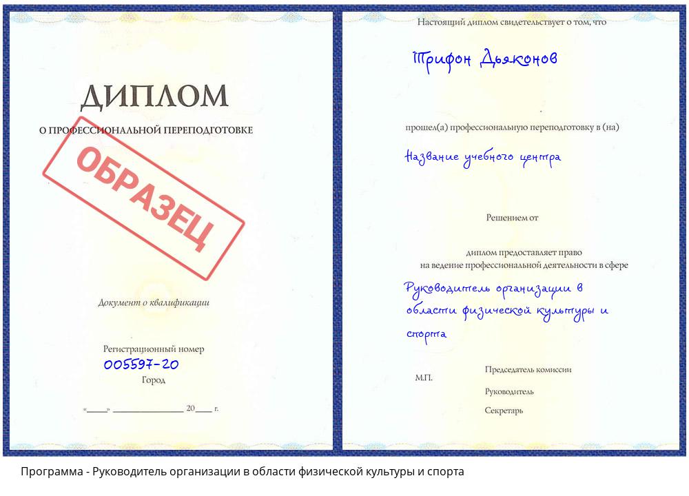Руководитель организации в области физической культуры и спорта Сатка