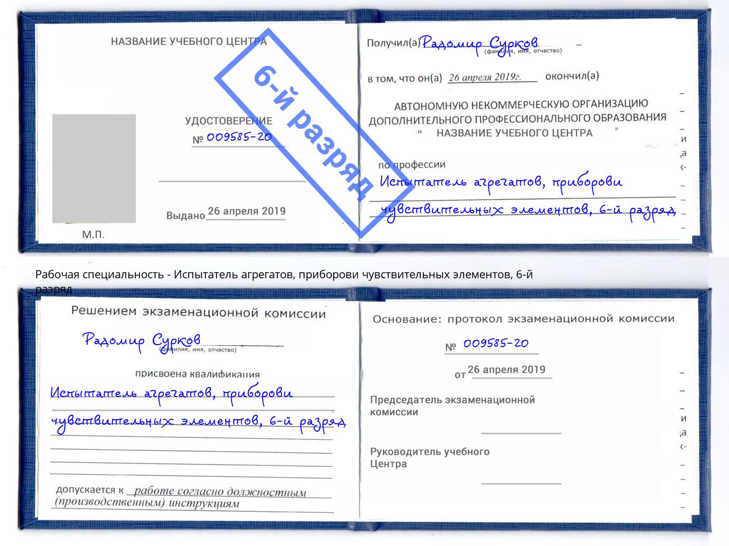 корочка 6-й разряд Испытатель агрегатов, приборови чувствительных элементов Сатка