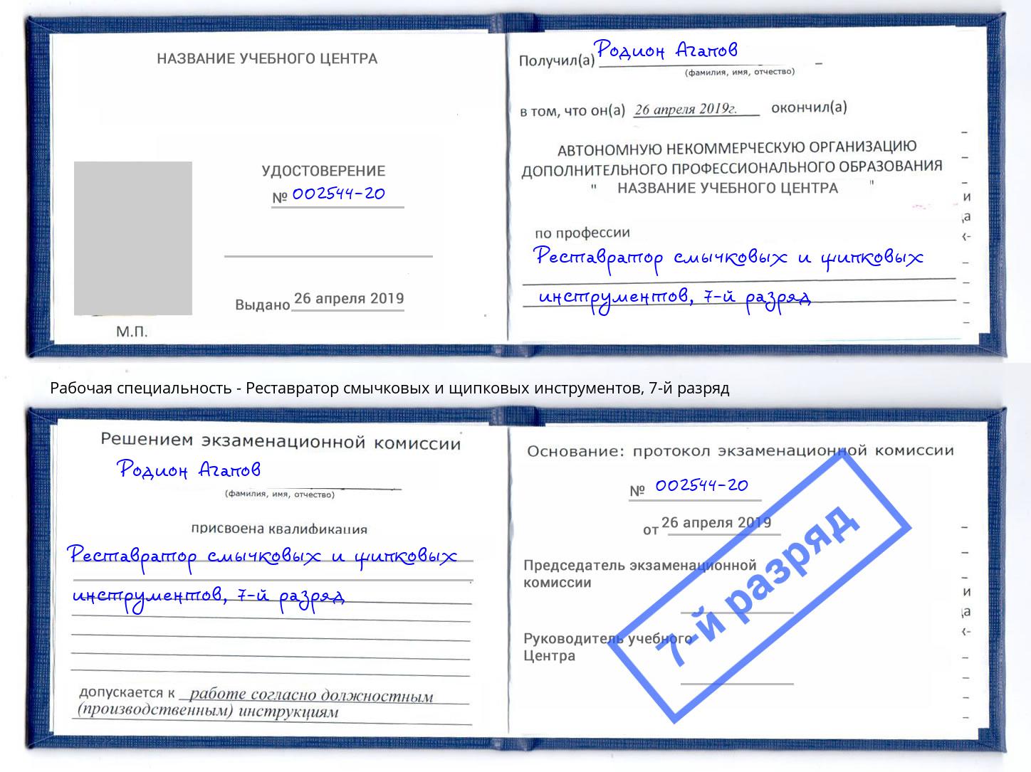 корочка 7-й разряд Реставратор смычковых и щипковых инструментов Сатка