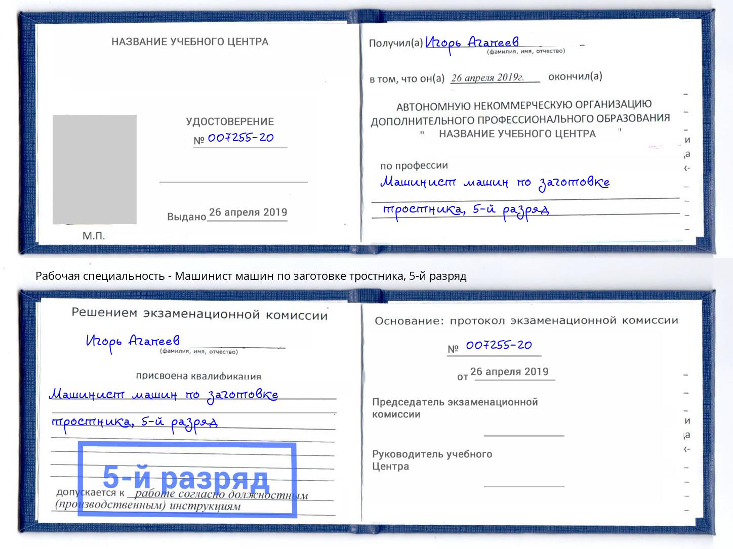 корочка 5-й разряд Машинист машин по заготовке тростника Сатка