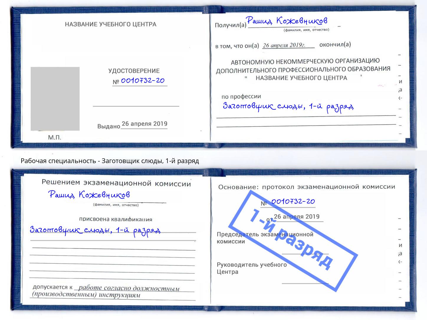 корочка 1-й разряд Заготовщик слюды Сатка